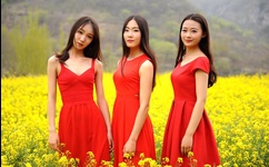 qq视频偷开软件